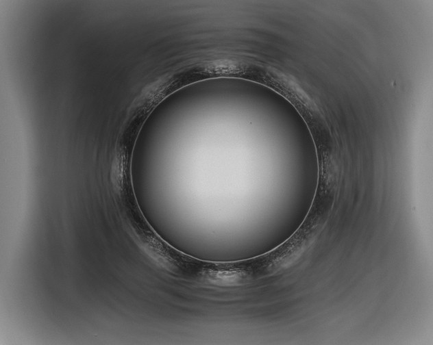 X0000116440645200912081557