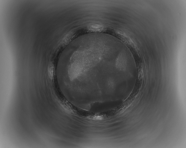 X0000116440647200912081557