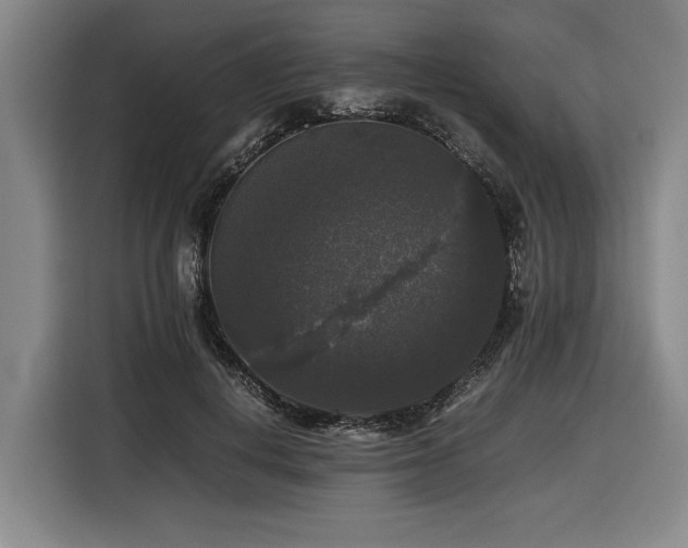 X0000116440648200912081557