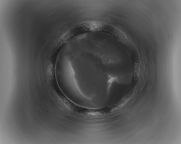 X0000116440650200912081557