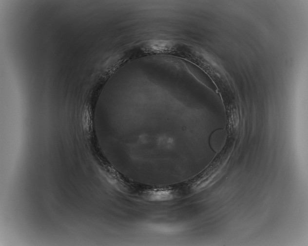 X0000116440651200912081557