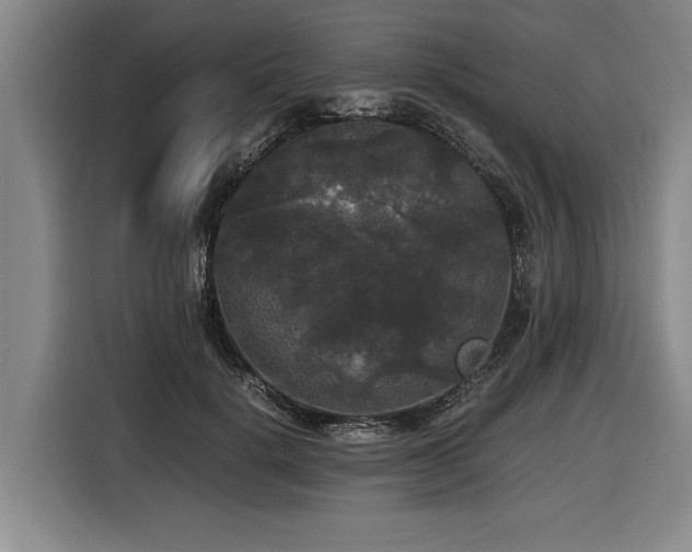 X0000116440652200912081557