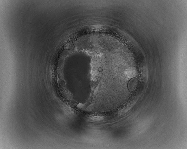 X0000116440653200912081557