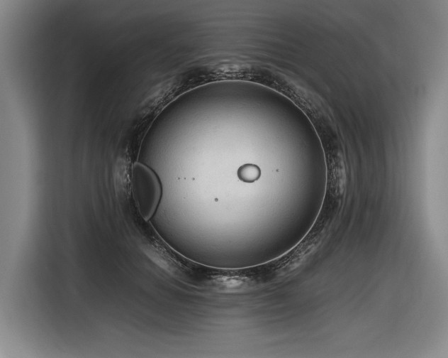 X0000116440654200912081557