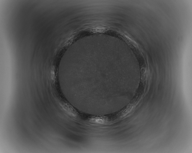 X0000116440655200912081557