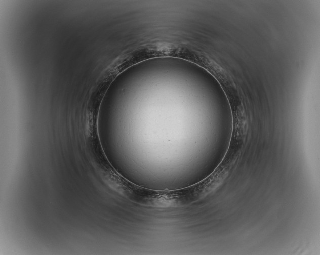 X0000116440656200912081557