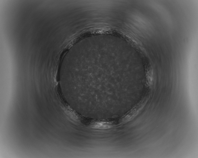 X0000116440657200912081557