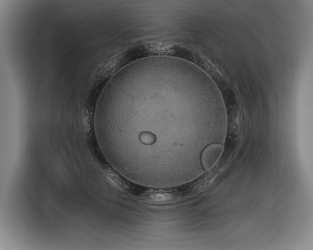 X0000116440658200912081557