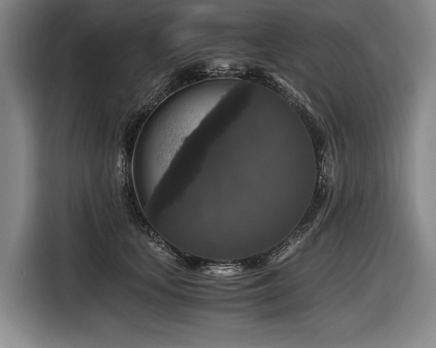 X0000116440659200912081557