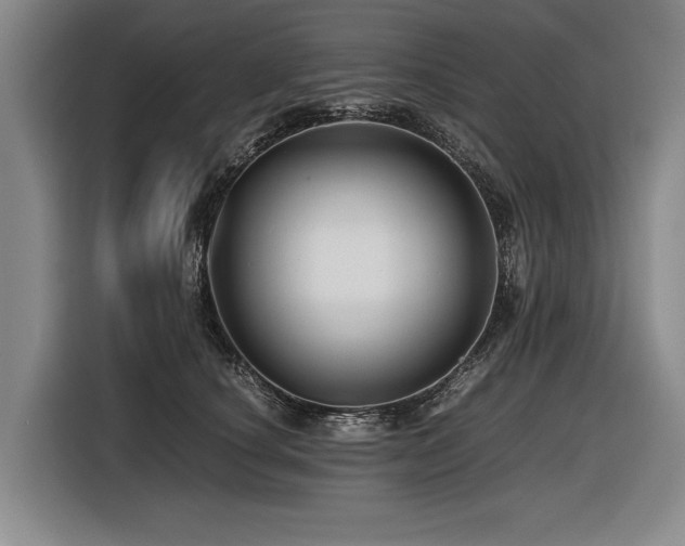 X0000116440660200912081557