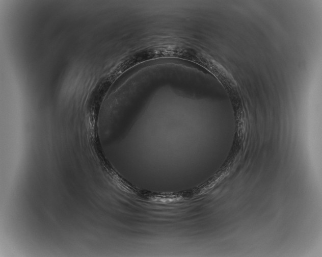 X0000116440661200912081557