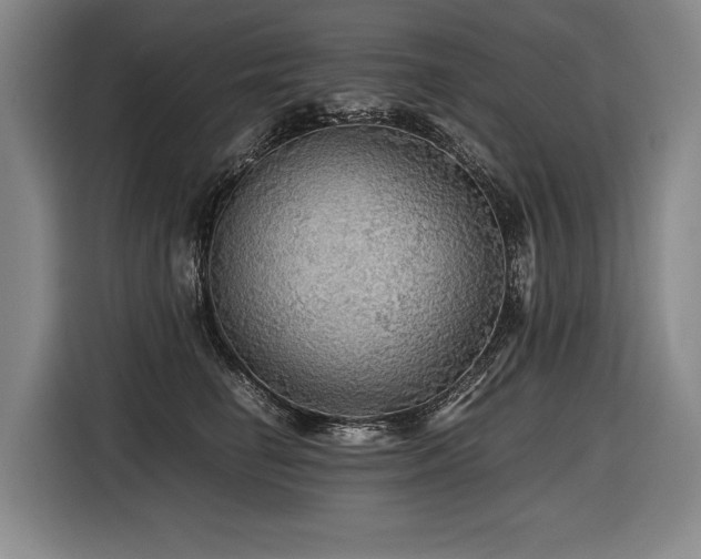 X0000116440662200912081557