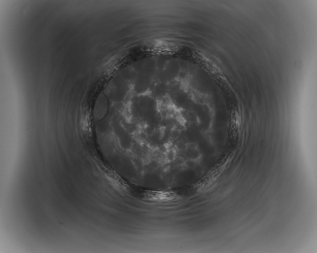 X0000116440663200912081557