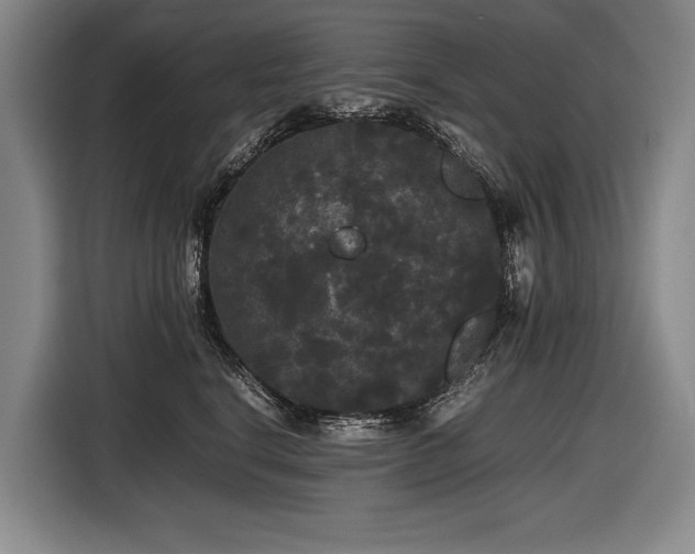 X0000116440664200912081557