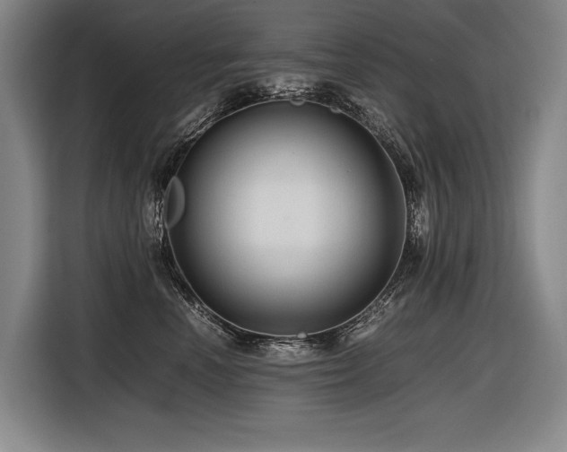 X0000116440666200912081557
