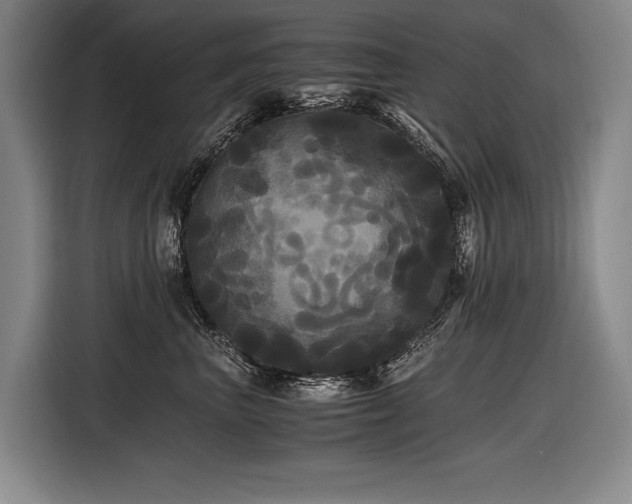 X0000116440667200912081557