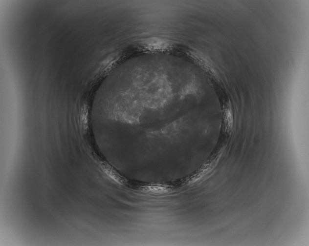X0000116440668200912081557