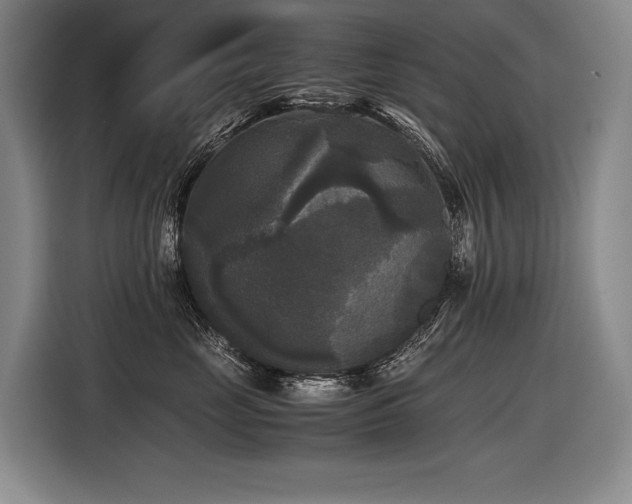 X0000116440669200912081557