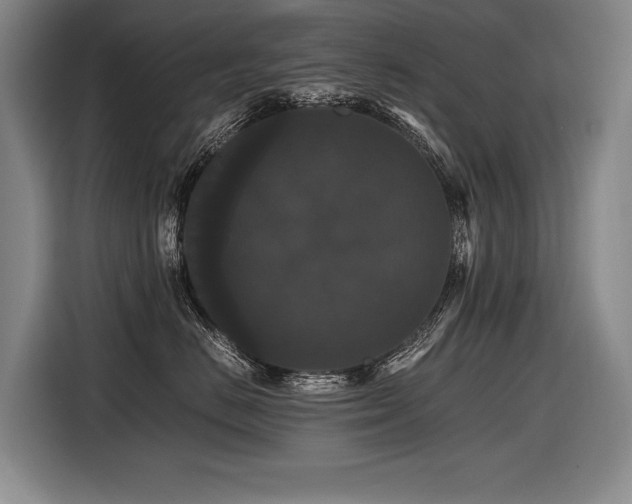 X0000116440670200912081557