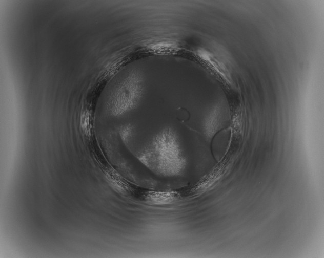 X0000116440671200912081557