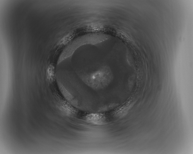 X0000116440672200912081557