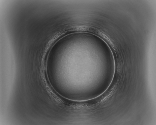 X0000116440673200912081557