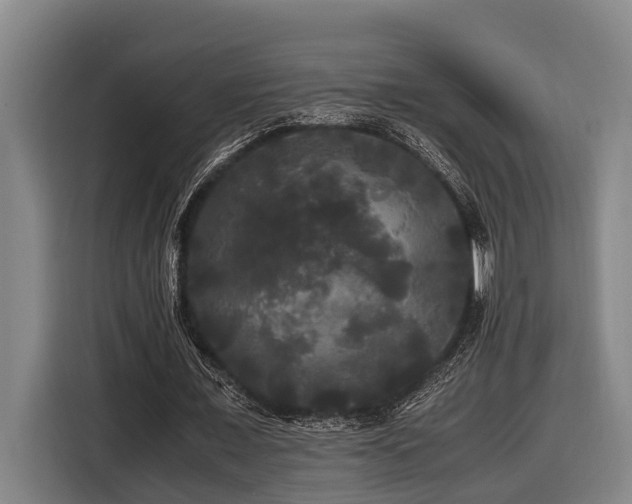 X0000116440675200912081557