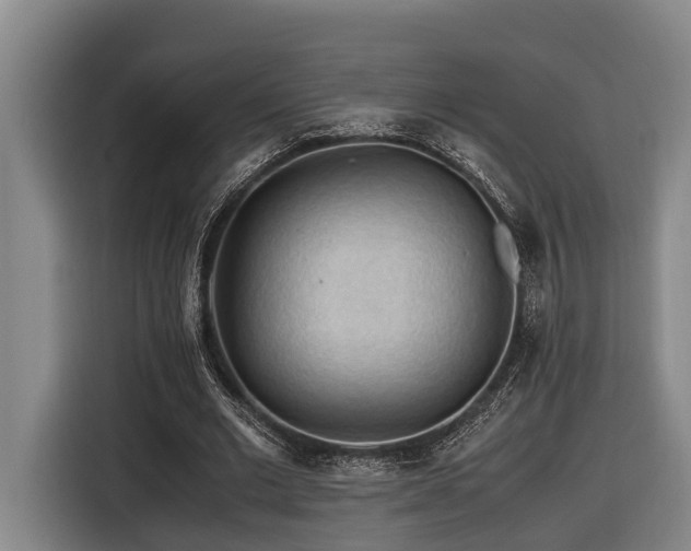 X0000116440677200912081557