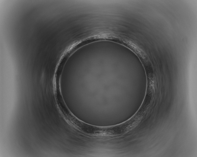 X0000116440678200912081557