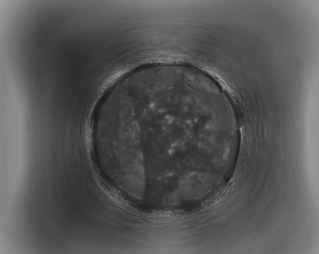X0000116440679200912081557