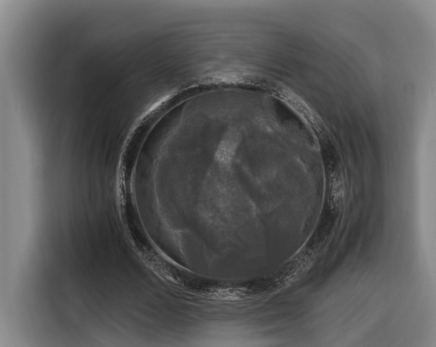 X0000116440680200912081557