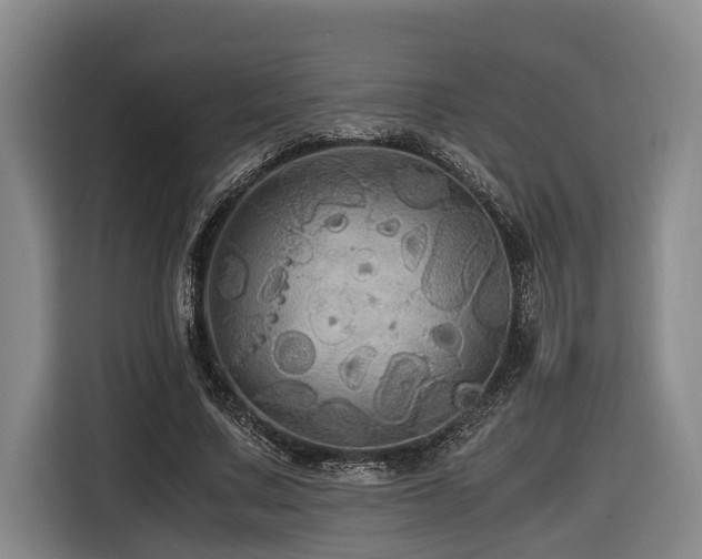 X0000116440683200912081557
