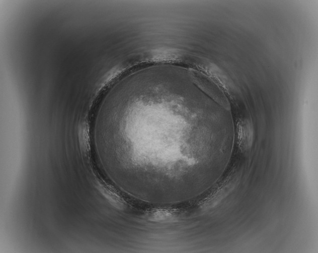 X0000116440684200912081557