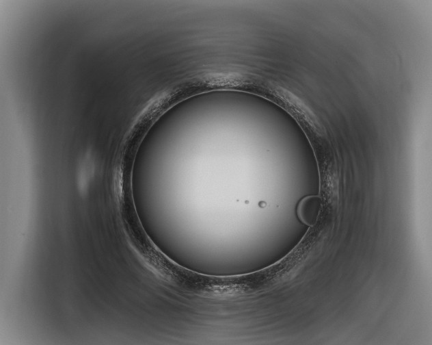 X0000116440686200912081557