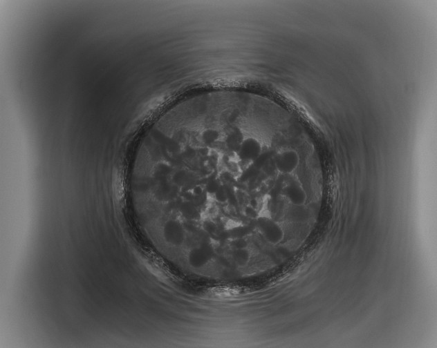 X0000116440687200912081557