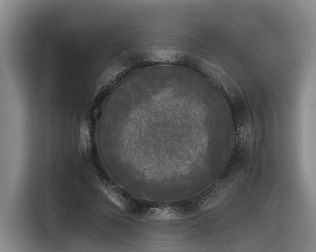 X0000116440688200912081557