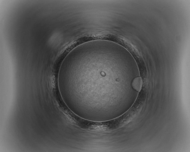 X0000116440689200912081557