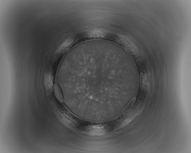 X0000116440692200912081557