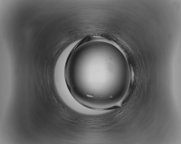 X0000116440693200912081557