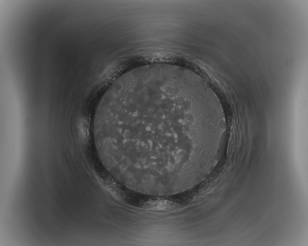 X0000116440695200912081557
