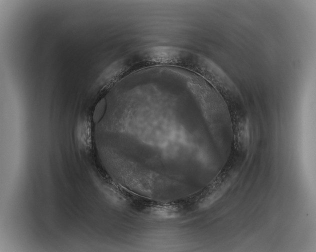 X0000116440696200912081557