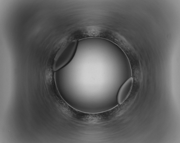 X0000116440697200912081557