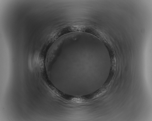 X0000116440699200912081556