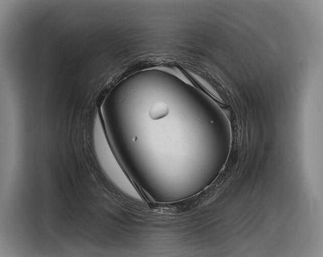 X0000116440700200912081556