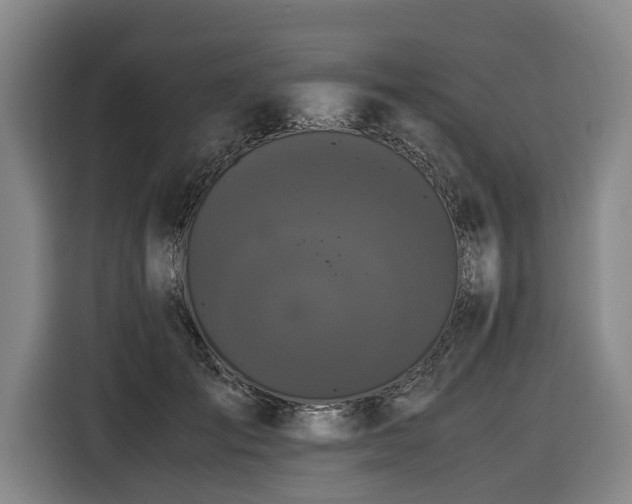 X0000116440701200912081556