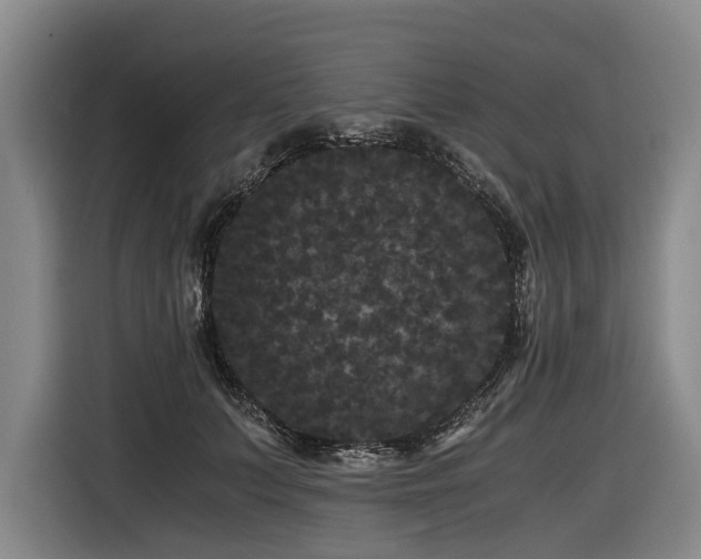 X0000116440703200912081556