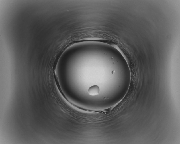 X0000116440704200912081556