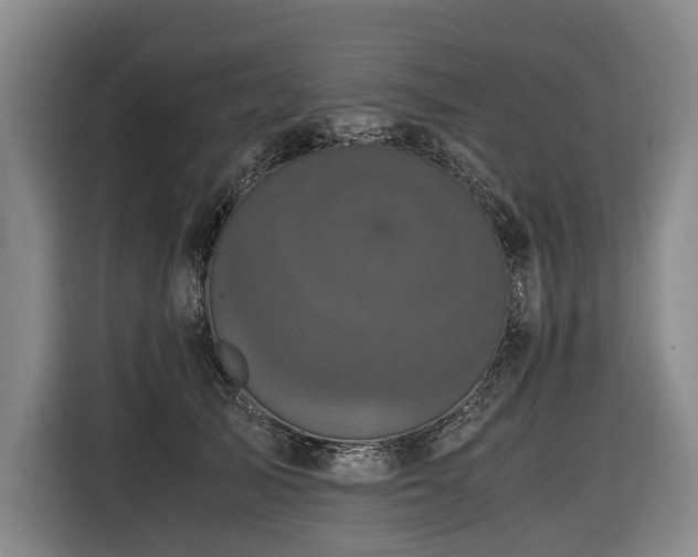 X0000116440705200912081556