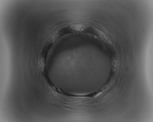 X0000116440707200912081556