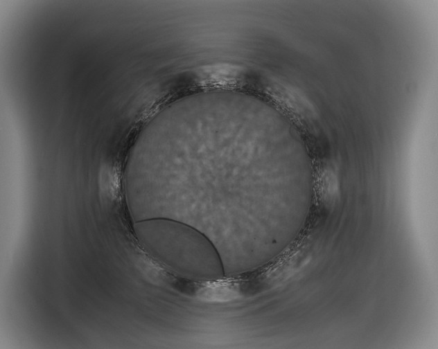 X0000116440709200912081556